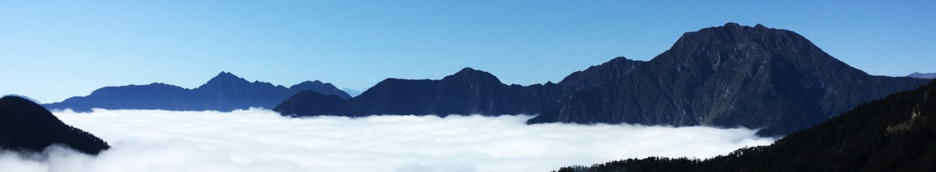 �W(w��ng)վ�S�o(h��)��Ҋ���}